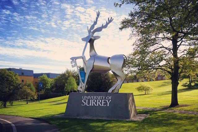 Surrey College of Clinical Hypnotherapy & Psychotherapy, SCCP,  venue is the University of Surrey, this is the University statue